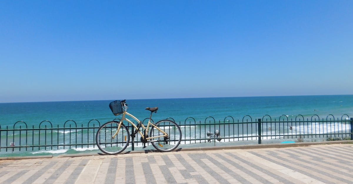 How to Get Around Tel Aviv in Hebrew