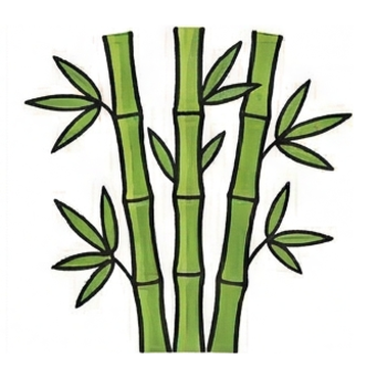 Bamboo