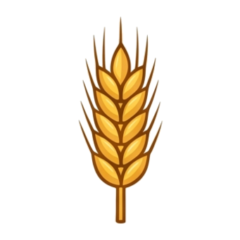 Barley