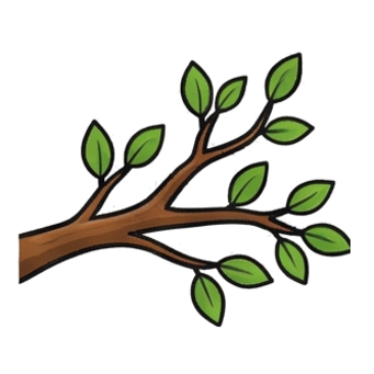 Branch