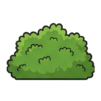 Bush