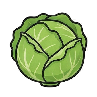 Cabbage