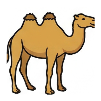Camel