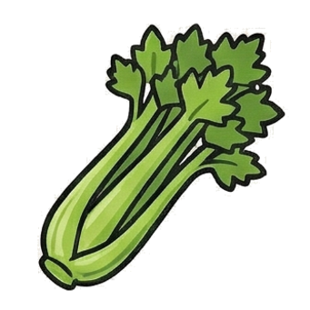 Celery
