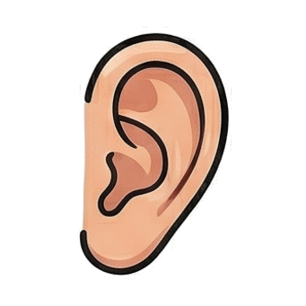 Ear
