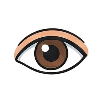 Eye