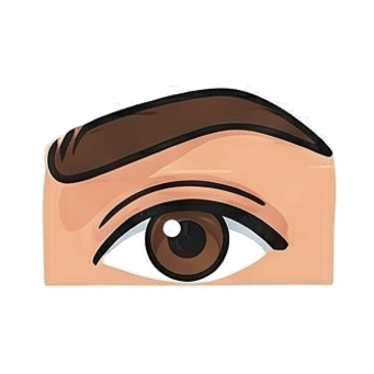 Eyebrow