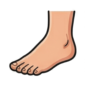 Foot
