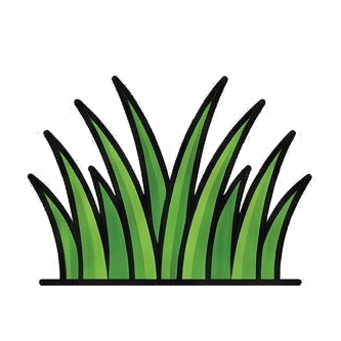 Grass