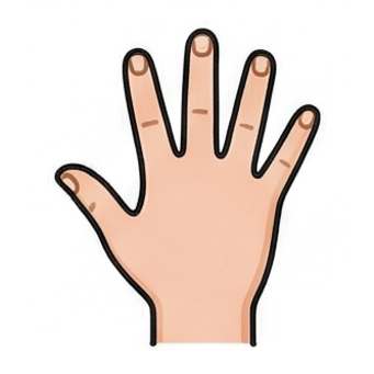 Hand