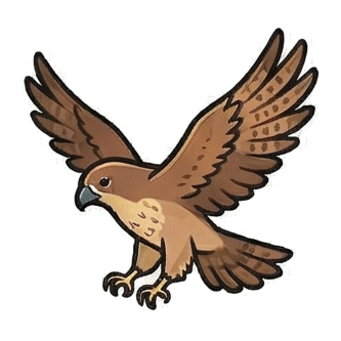 Hawk