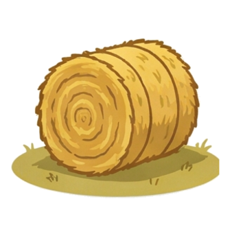 Hay
