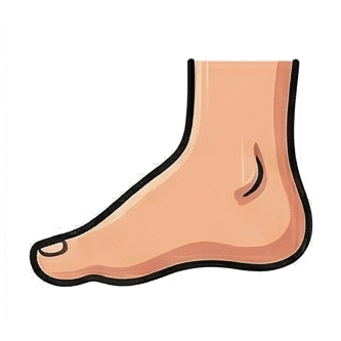 Heel
