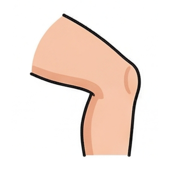 Knee