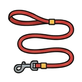 Leash