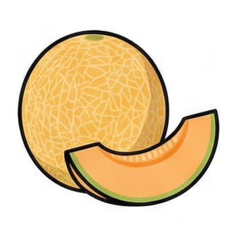 Melon