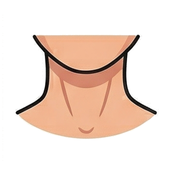 Neck