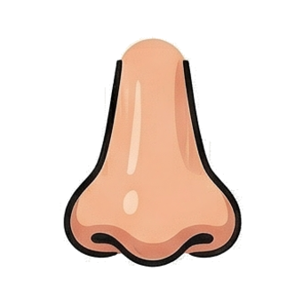 Nose