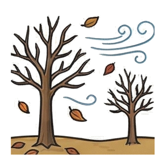 November