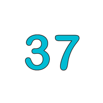 Thirty seven