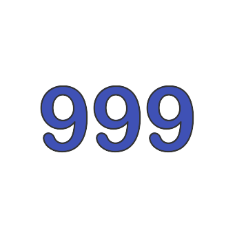 Nine hundred ninety nine