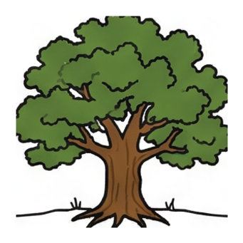 Oak
