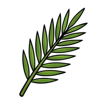 Palm Branch