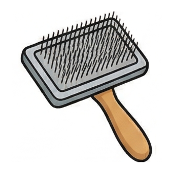 Brush