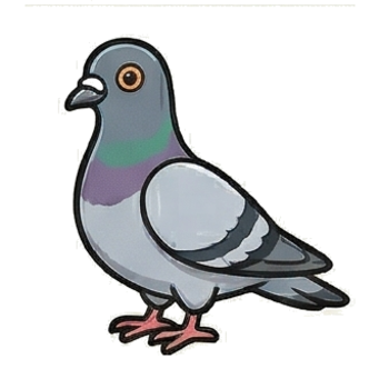 Pigeon