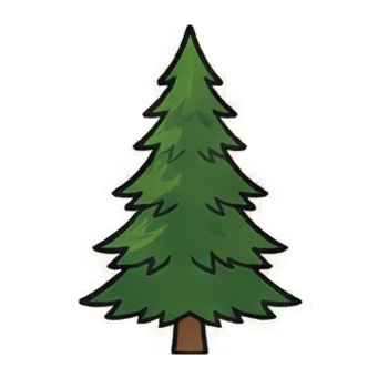 Pine