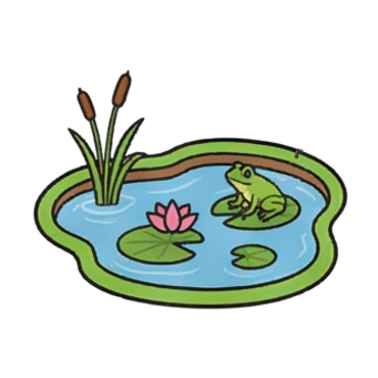 Pond