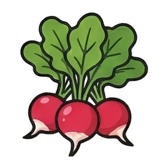 Radish