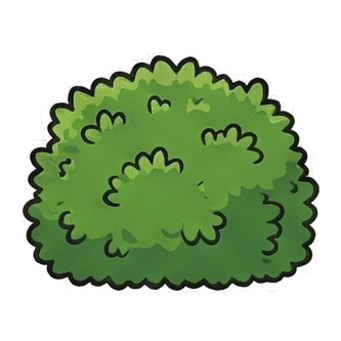 Shrub