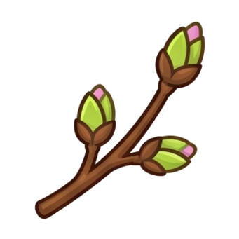 Spring Buds