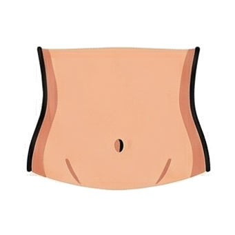 Stomach