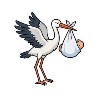 Stork