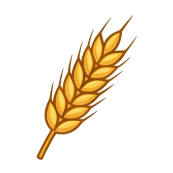 Wheat