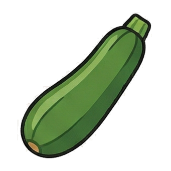 Zucchini